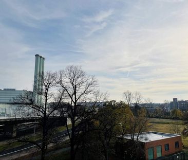* Gepflegte 2-Raumwohnung mit Balkon und Weitblick in Dresden Löbta... - Photo 3