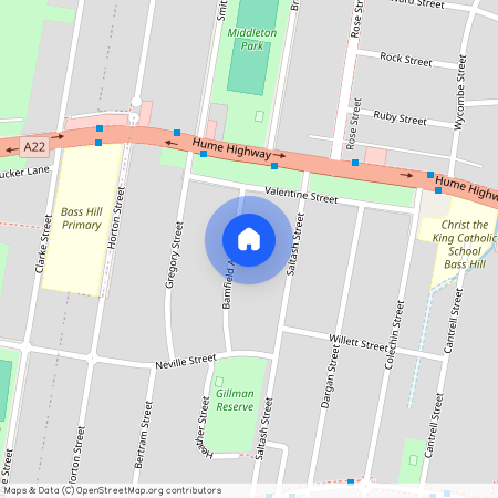 9 Bamfield Avenue, NSW 2199, Yagoona