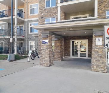 1 Bed Apartment | Schonsee Edmonton | Gas & Water Included - Photo 1