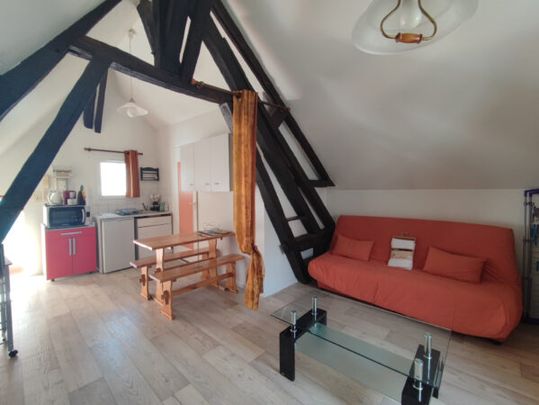 Appartement / Location - Photo 1