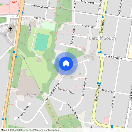 49 Haddington Drive, NSW 2285, Cardiff South