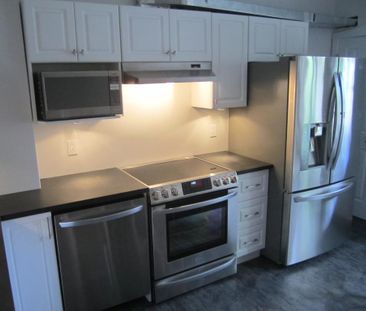 Montreal Waterfront Ground Floor 5½ Incl. Basement - Photo 4