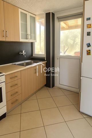 Μονοκατοικία 80 τ.μ. προς ενοικίαση - Photo 3