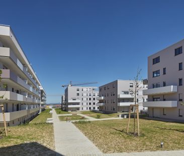 Moderne 2-Zimmerwohnung mit Balkon - Foto 4