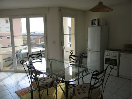 Location Appartement 1 pièce 37m² ANNONAY 07100 - Photo 1