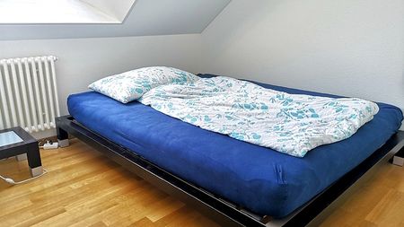 3 Zimmer-Wohnung in Zürich - Kreis 4 Hard, möbliert, auf Zeit - Photo 4