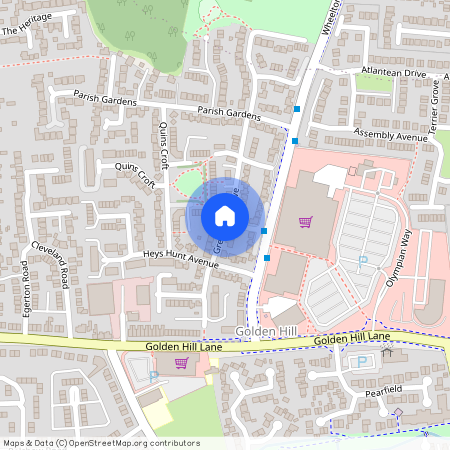 Great Park Drive, Leyland