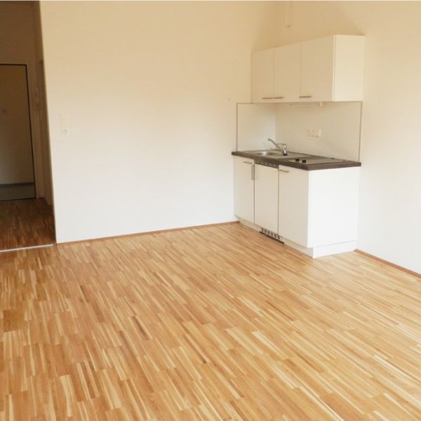 Wohnen-Sorglos Paket: Garconniere in KF-Uninähe - Foto 1