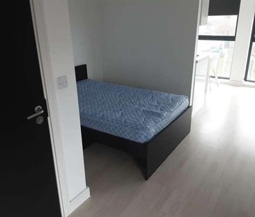 Upper Parliament Street, Liverpool, L8 - Photo 2