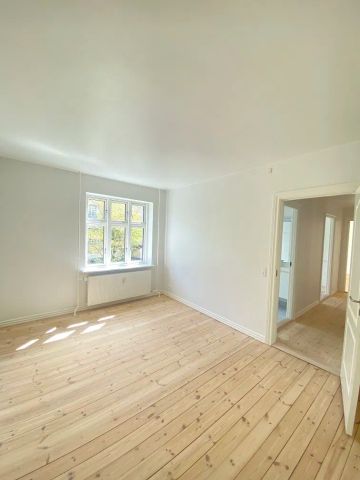 Rummelig lejlighed med fransk altan i Aalborgs hjerte - Foto 3