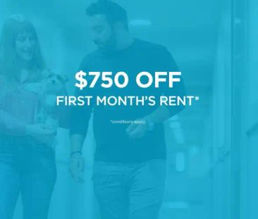 Steenbuck Pointe | 130 Albany Dr NW, Edmonton - Photo 1