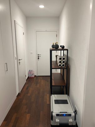 Moderne Wohnung zur Miete in Stetten SH. - Foto 1