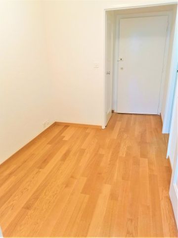 Malagnou - Champel - Photo 3