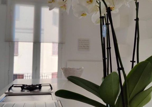 4 room luxury penthouse for rent in Palma de Mallorca, Balearic Islands