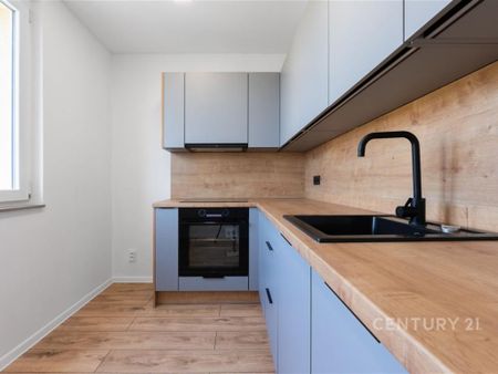 Pronájem bytu 3+1 56 m2 - Fotografie 4