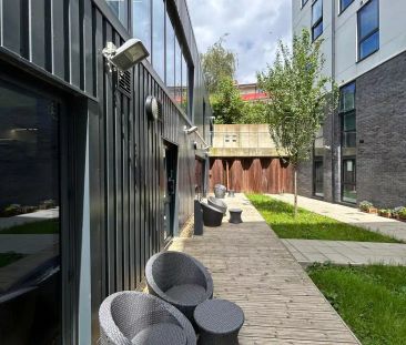 Standard Studio - Photo 3