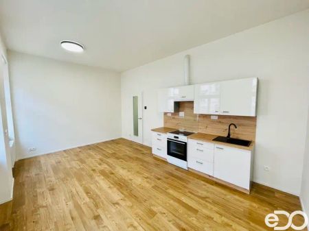 Pronájem krásné bytové jednotky 1+kk, 31,3 m - Fotografie 4