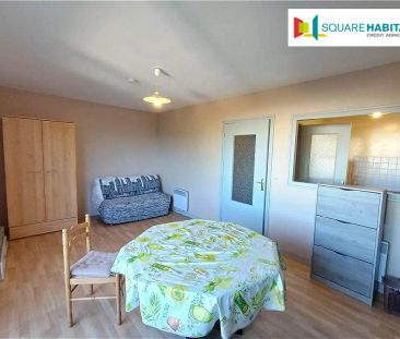 Location appartement 1 pièce - 28.8m² à Pau (64000) - Photo 4
