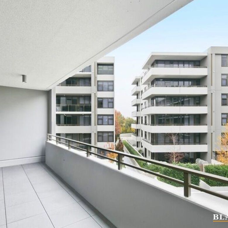 135/46 Macquarie Street, Barton ACT 2600 - Apartment For Rent | Domain - Photo 1