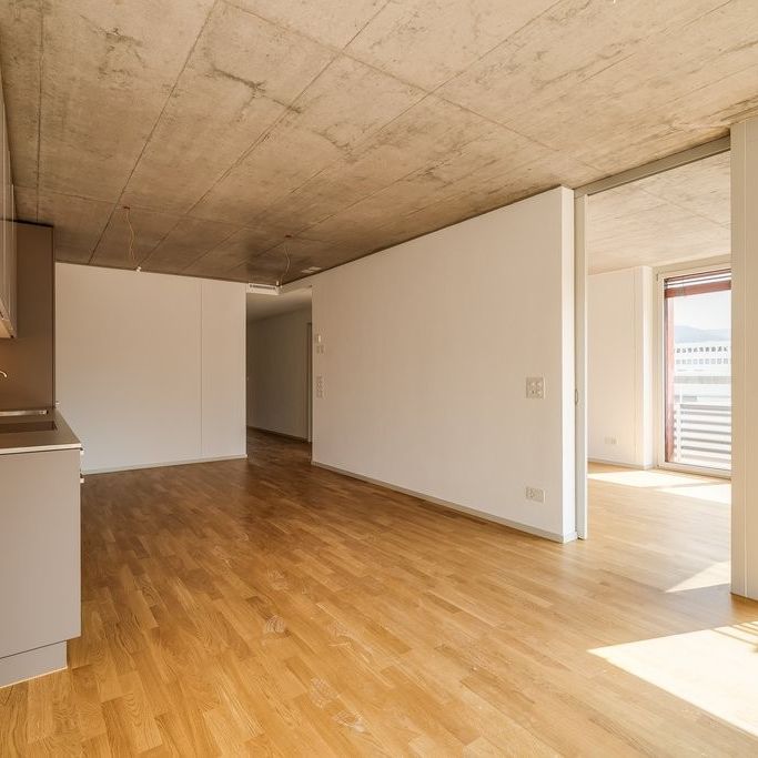 Mieten ohne Kaution: Moderne 4.5-Zimmer-Wohnung in Terrassenhaus - Foto 1