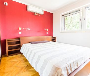 Denevér köz - Fotó 6