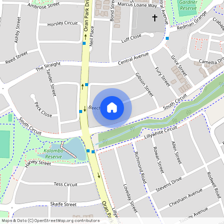 17 Beechey Circuit, NSW 2570, Oran Park