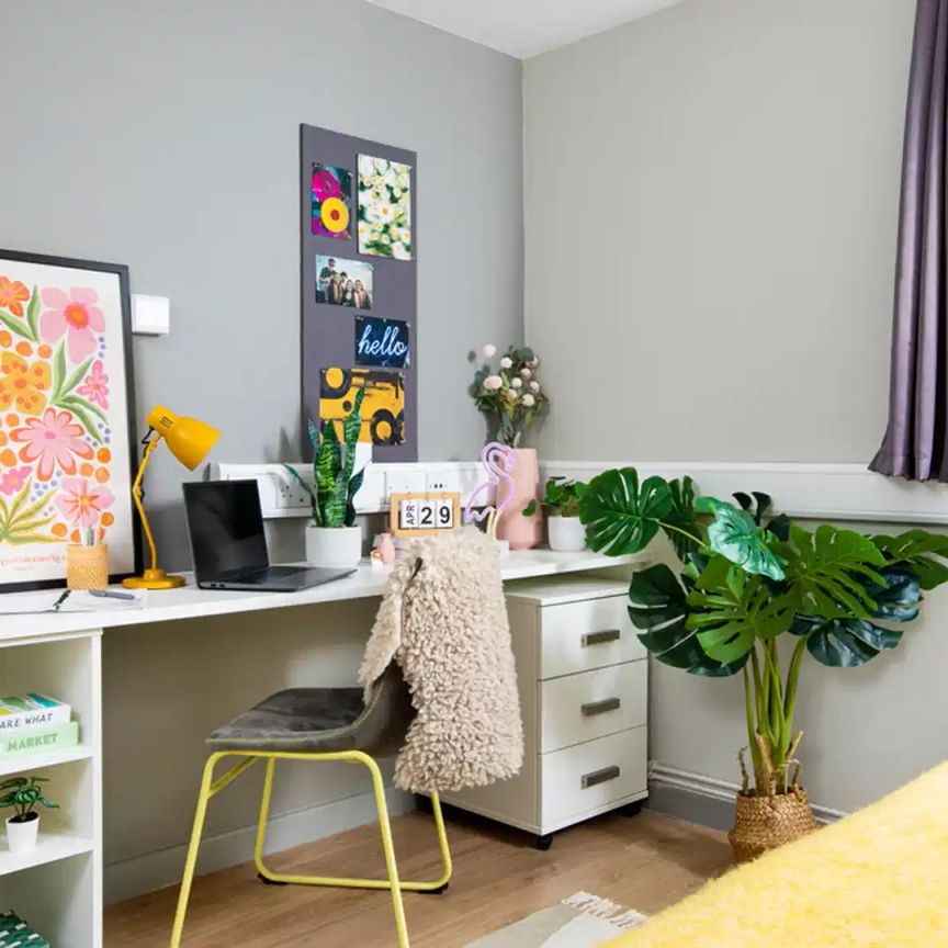 Double Wheelchair Accessible Studio - Photo 1