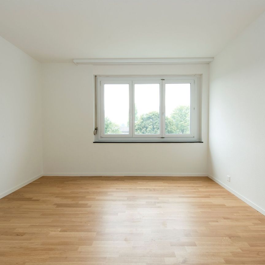 Sunny apartment with a spacious balcony! - Photo 1