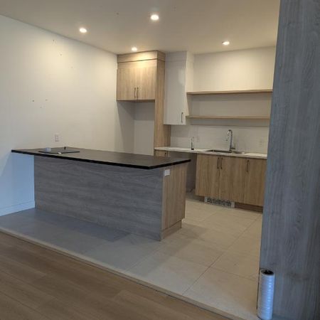 LUXUEUX 4 1/2 À LOUER À MONTRÉAL - Photo 3
