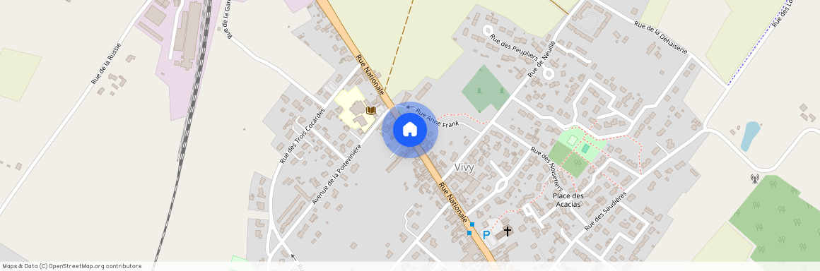 PAYS-DE-LA-LOIRE, MAINE-ET-LOIRE (49), 49680, Vivy