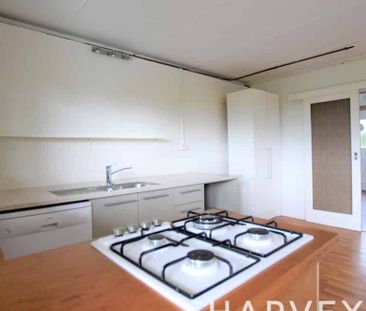 62 Shetland Flat - Photo 1