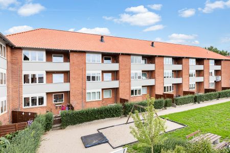 Afd. 16 Kodammen 3 - Foto 4