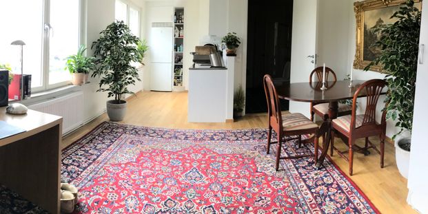 Växthusvägen, Bro - Foto 1