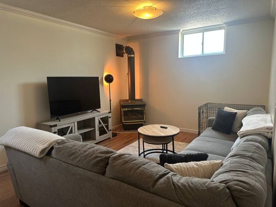 For Lease - 253 EAST 44TH Street Unit# Lower, Hamilton, Ontario - Photo 1