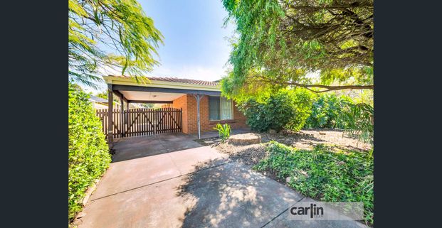 Large Home on Huge Block - Photo 1