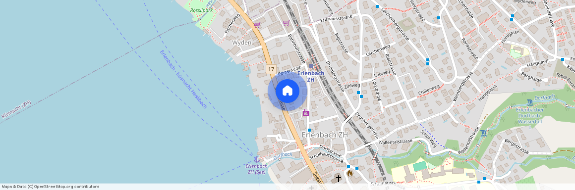 Seestrasse 49, 8703 Erlenbach ZH