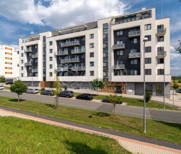 Moderní byt 1+kk k pronájmu Plzeň, Technická ulice - Photo 5