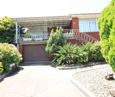 49 Kilbride Street Hurlstone Park - Photo 3