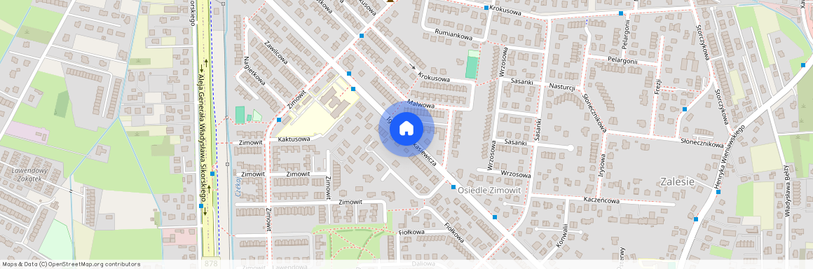 ul. Ignacego Łukasiewicza, Zalesie, Rzeszów, podkarpackie