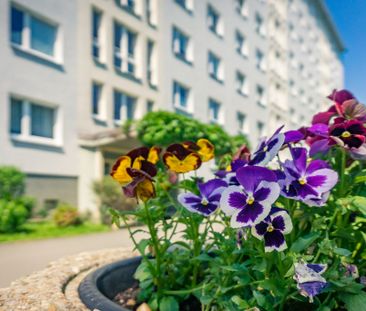 3-Raum-Wohnung - Photo 1