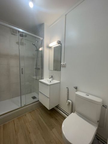 Location Appartement 1 pièce 21m² RENNES 35700 - Photo 4