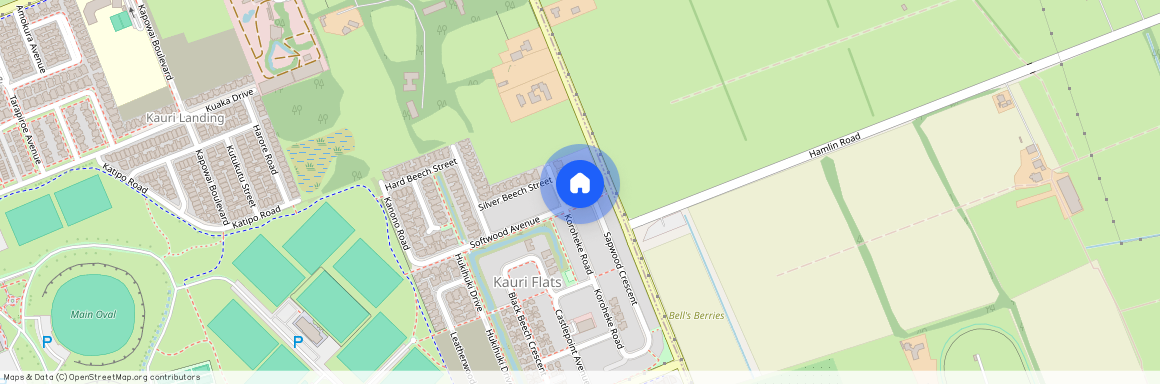 40 Sapwood Crescent, Takanini, Takanini