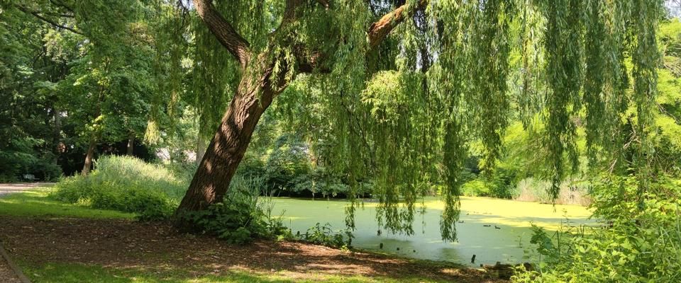 3 Zimmerwohnung zur Untermiete - Foto 1