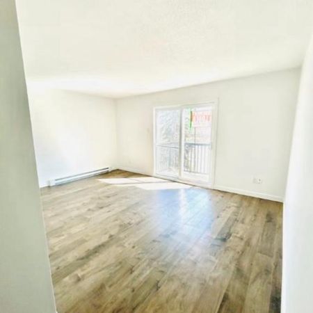 *Chien accepter appartement 4-1/2 - Photo 4