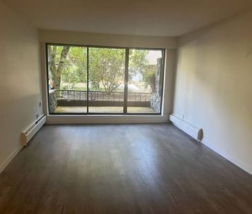 1bd - PET FRIENDLY Close to UBC Kitsilano Beach - Photo 1