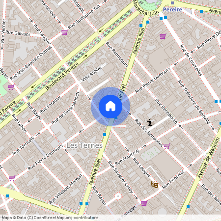 Rue Laugier, entre Avenue Niel et Rue Pierre Demours 75017 Paris (17e arrondissement)