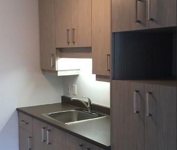 GRAND 3 ½ - ENTIÈREMENT RÉNOVÉ, 1165 $/MOIS TOUT COMPRIS! A PARTIR ... - Photo 2