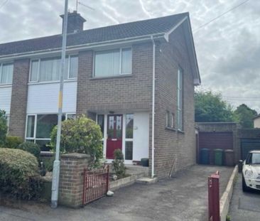 5 Enniscrone Park, Portadown, Craigavon, BT63 5DQ - Photo 1