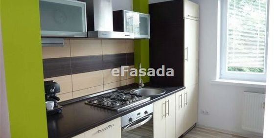 EFS-MW-138 Mieszkanie na wynajem - Zdjęcie 2