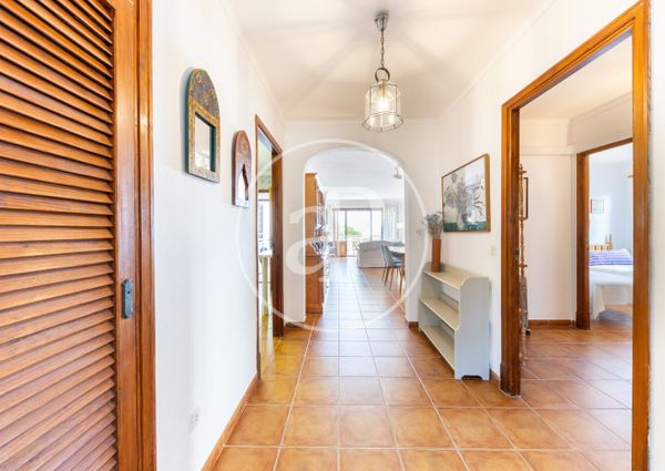 Flat for rent with Terrace in Port d’Alcúdia - Platja d'Alcúdia (Alcúdia)